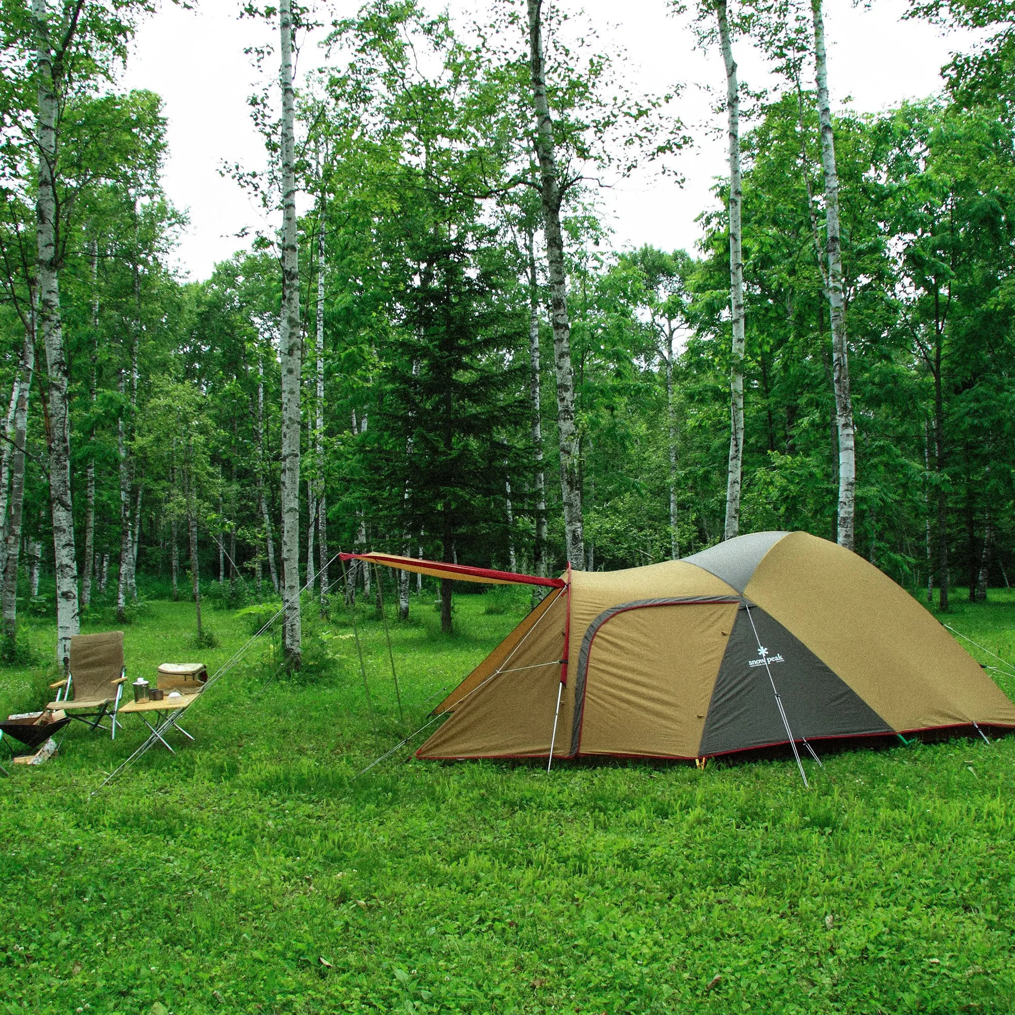 Amenity Dome M