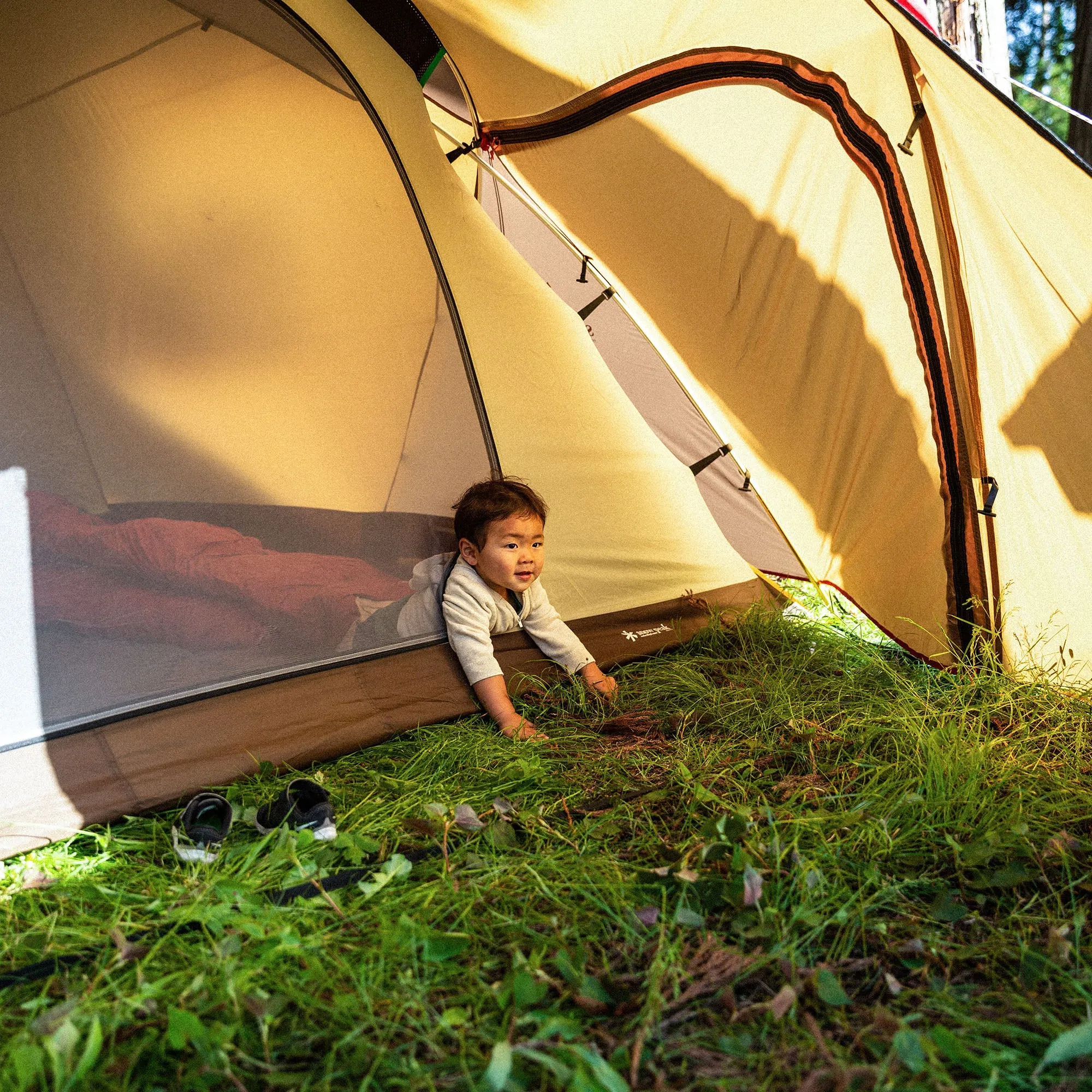 Amenity Dome M
