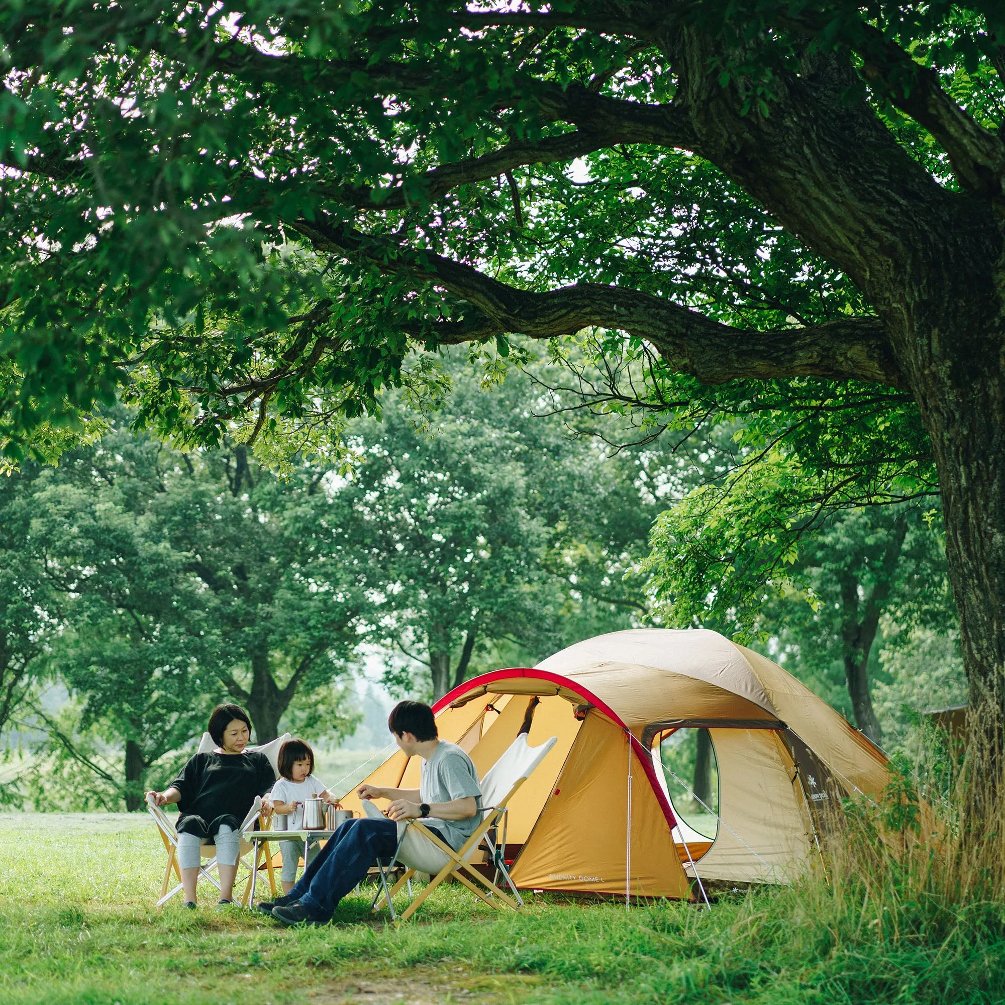 Amenity Dome M