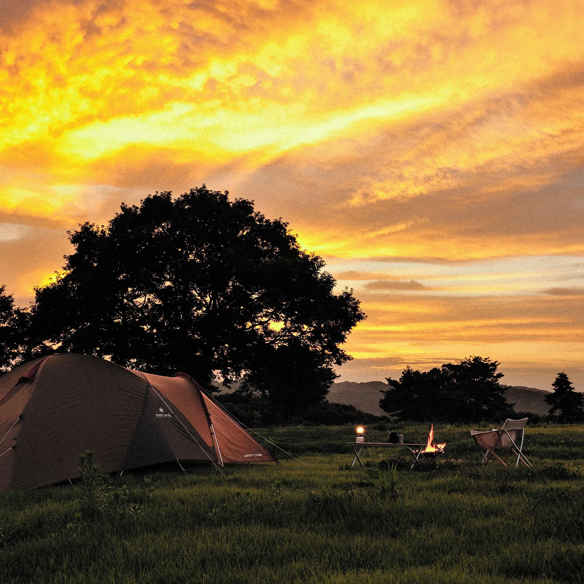 Amenity Dome M