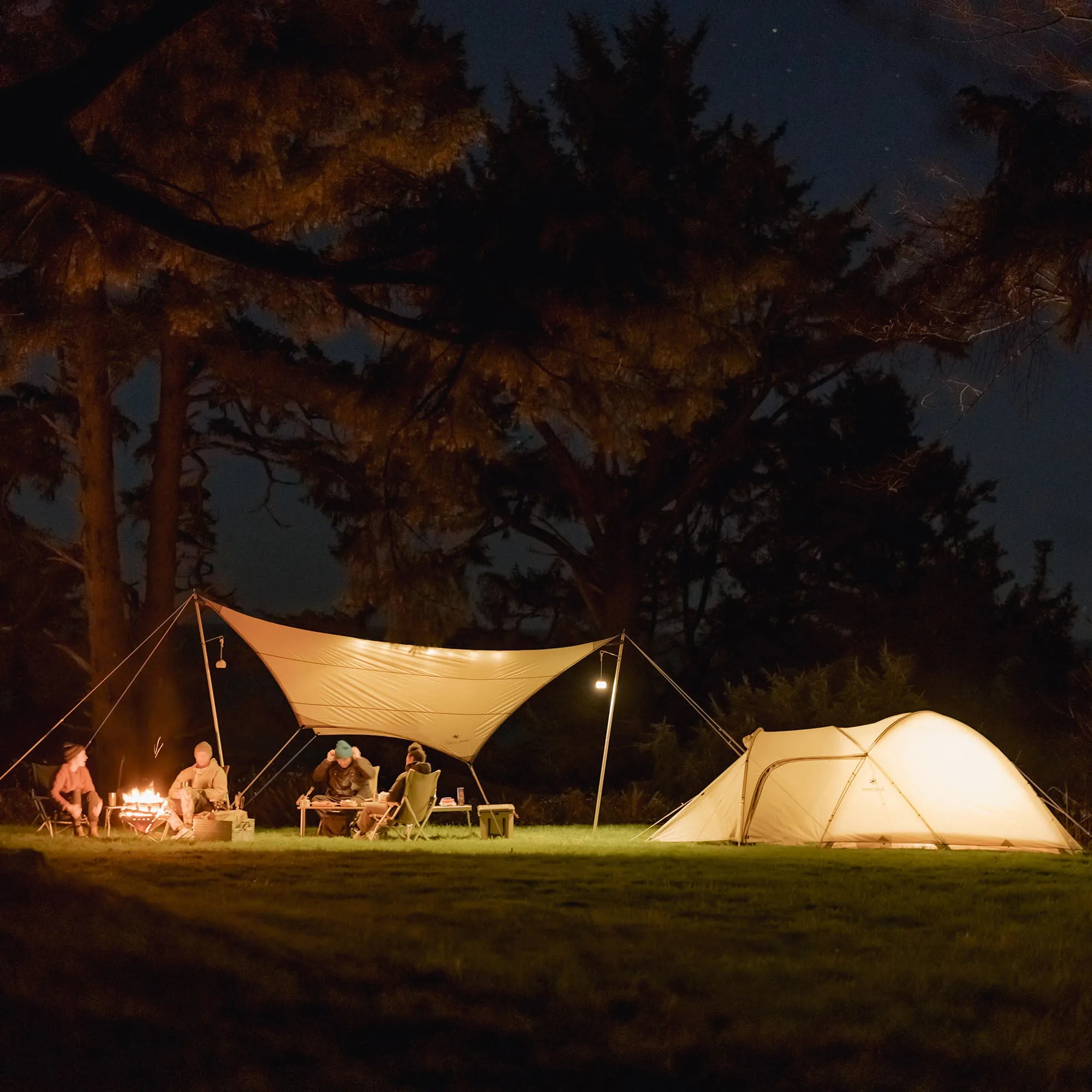 Amenity Dome M