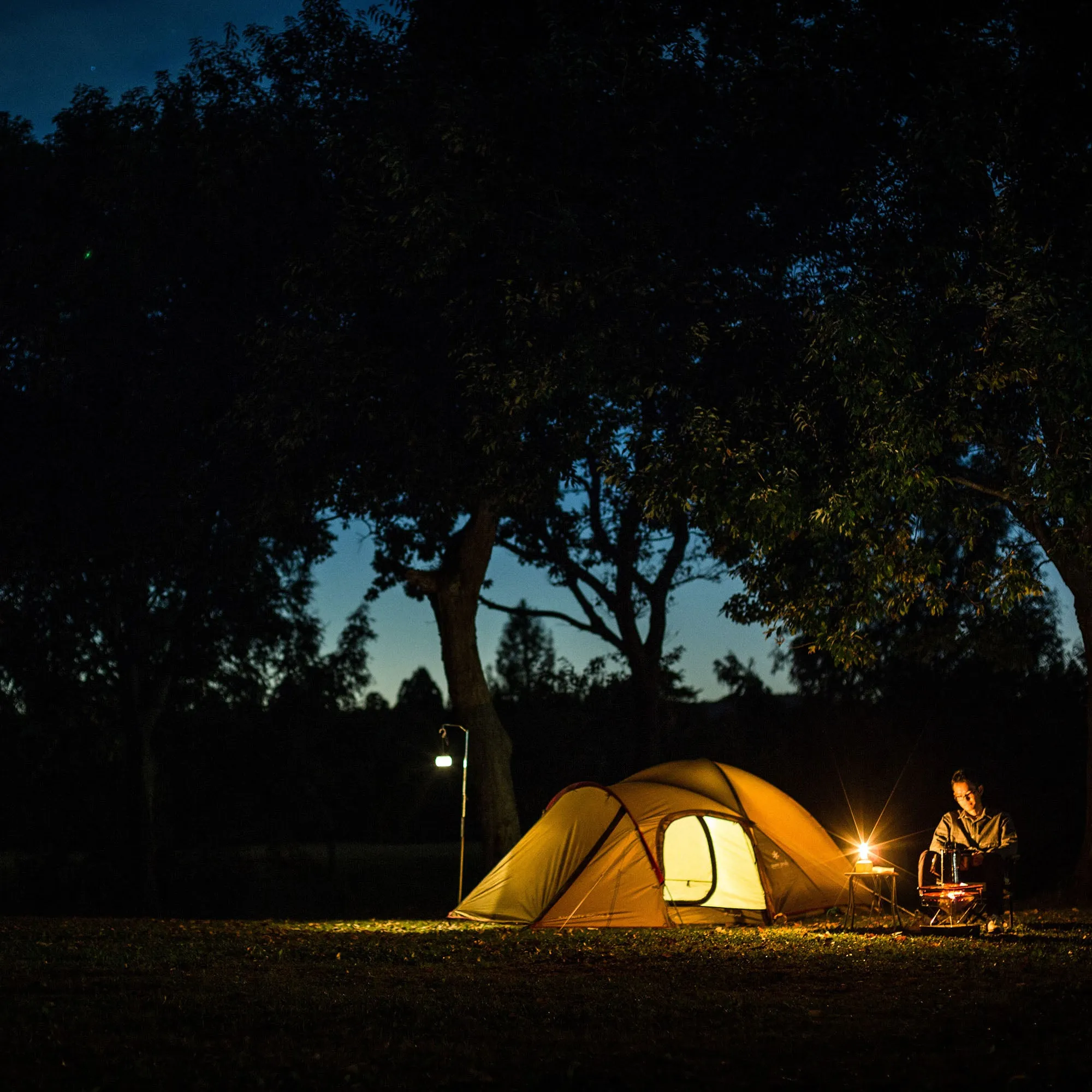 Amenity Dome S