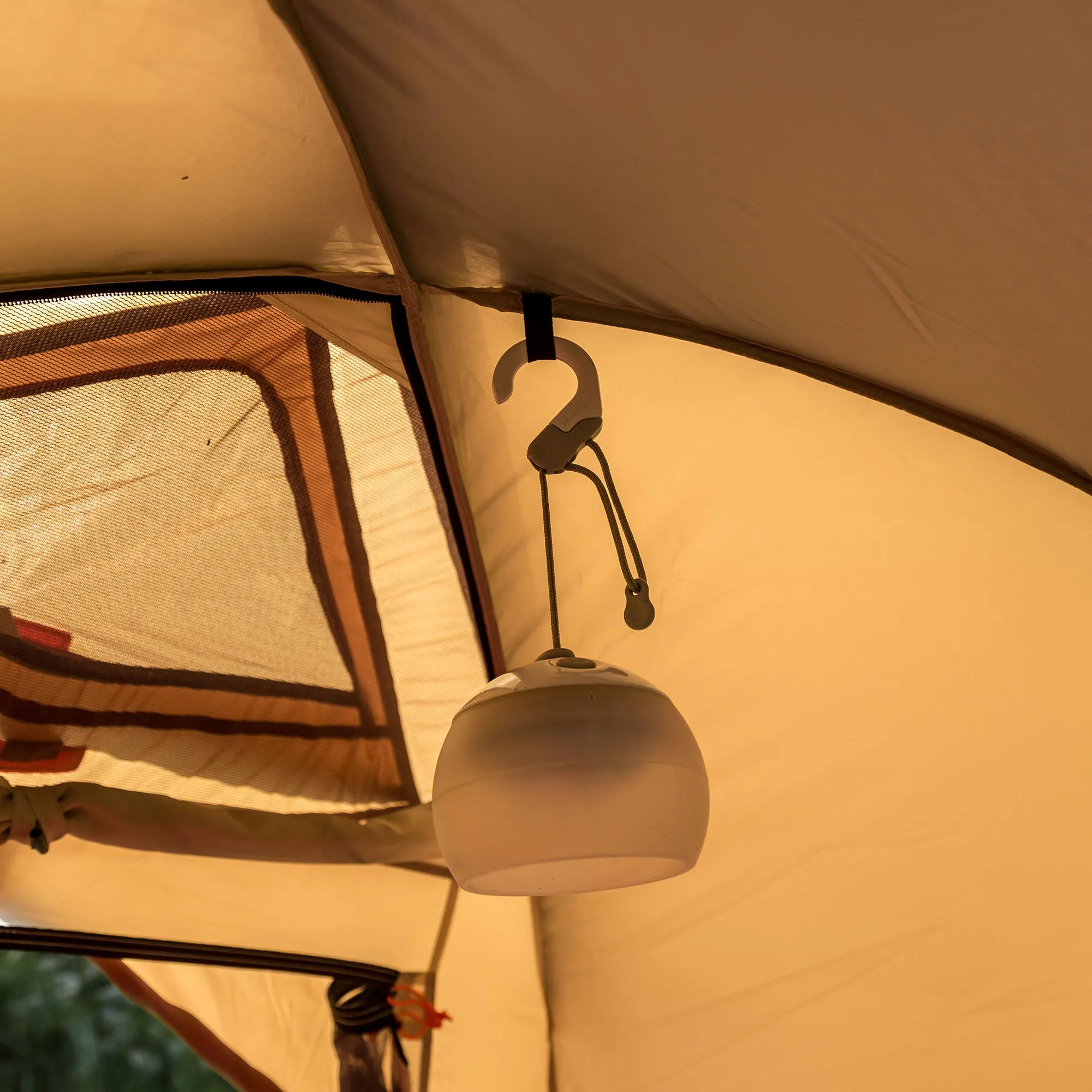 Amenity Dome S