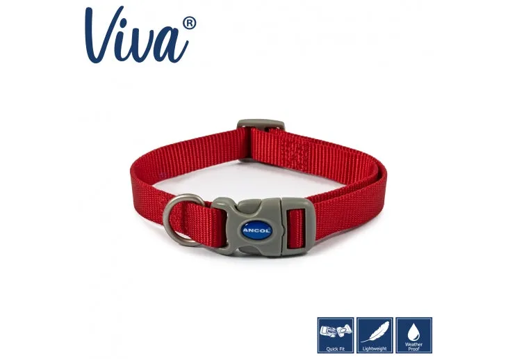 Ancol - Viva Nylon Adjustable Collar - Blue - Small (20-30cm)