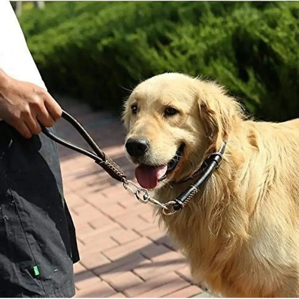 Genuine Leather Durable Comfortable Padded Handle Rustproof Hook Short Dog Leash