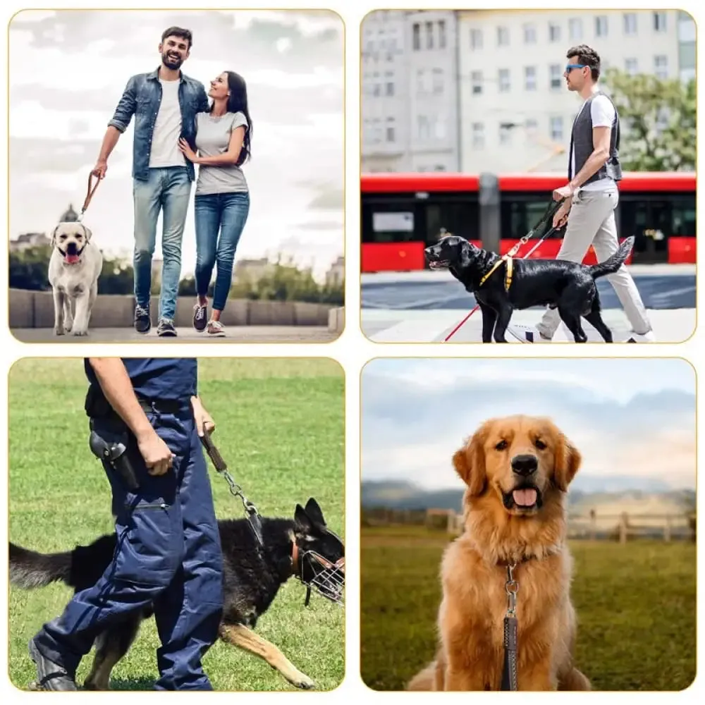 Genuine Leather Durable Comfortable Padded Handle Rustproof Hook Short Dog Leash